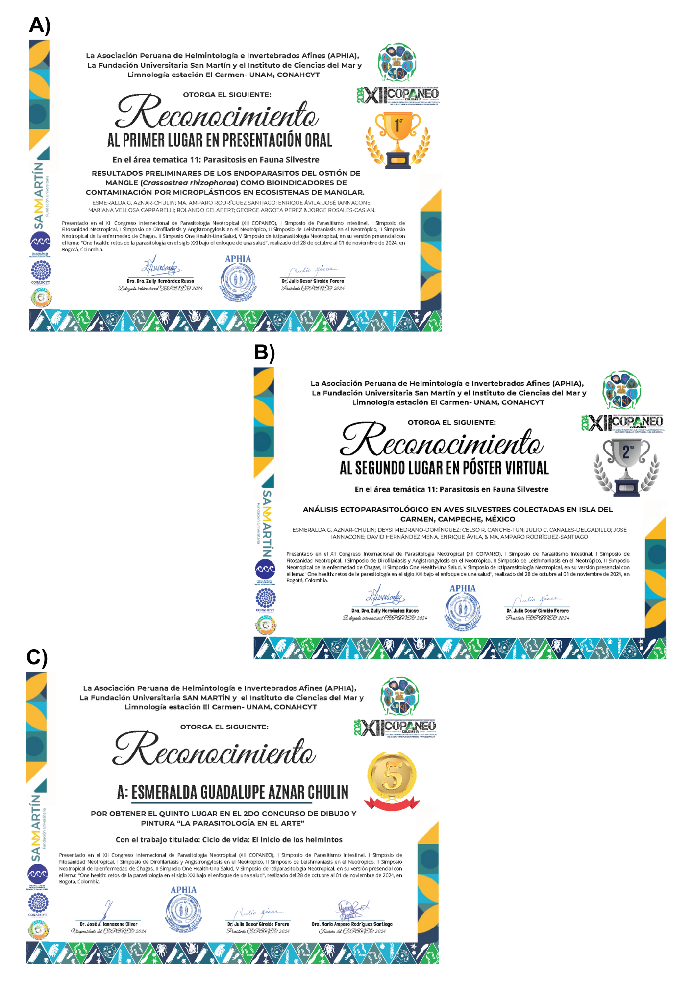 Reconocimientos obtenidos durante el COPANEO 2024.