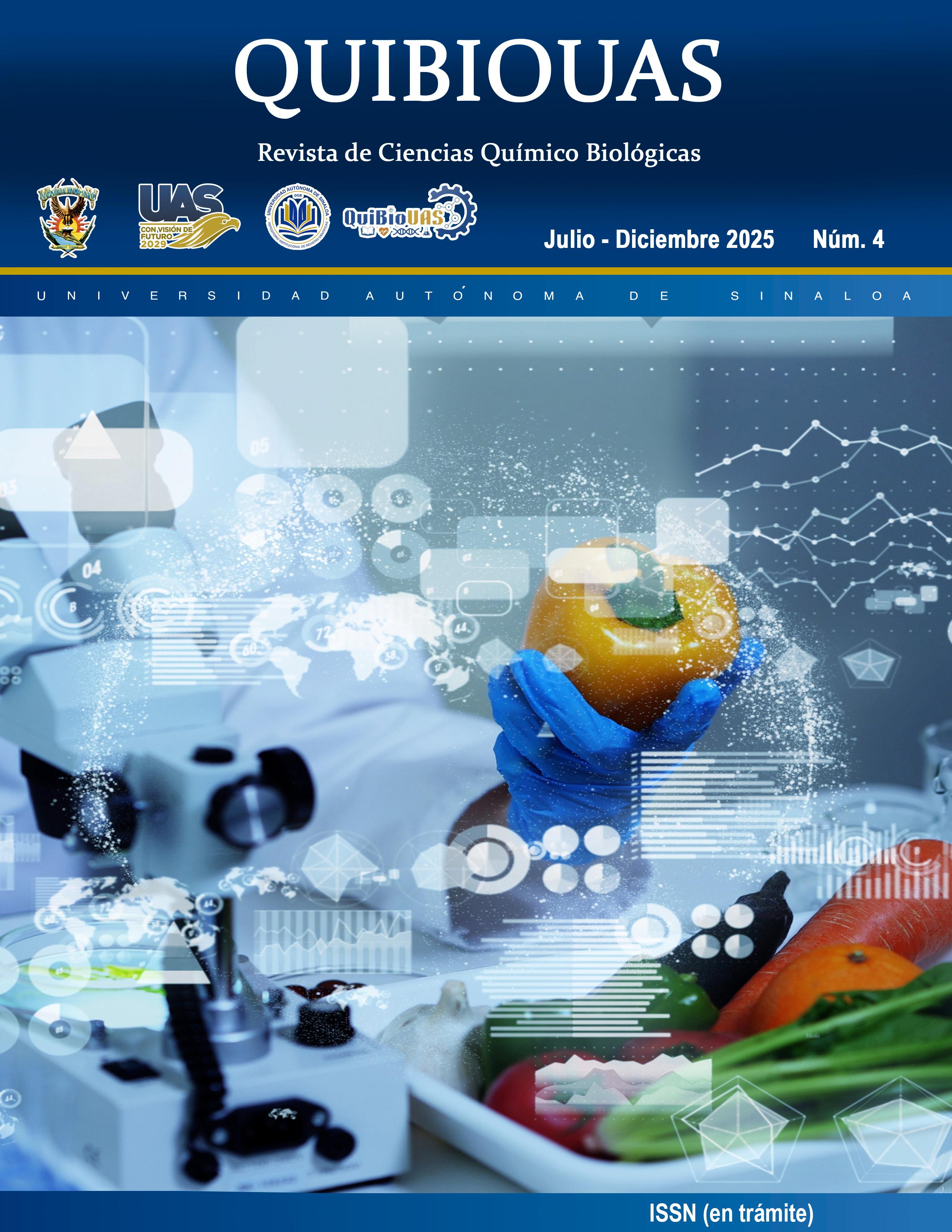 portada 4