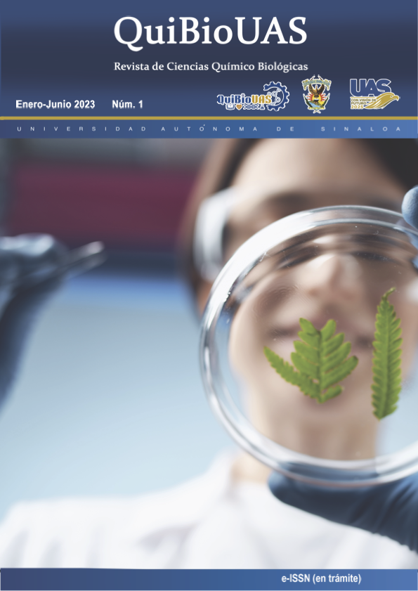 					Ver Núm. 1 (2024): Revista de Ciencias Químico Biológicas UAS 
				