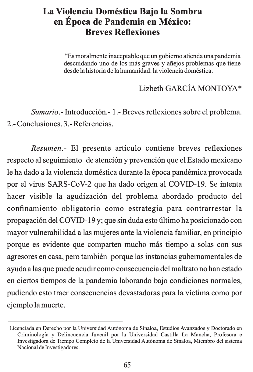 La violencia doméstica bajo la sombra en época de pandemia en México: breves reflexiones